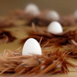 Investment Strategies Specifically for Retirees